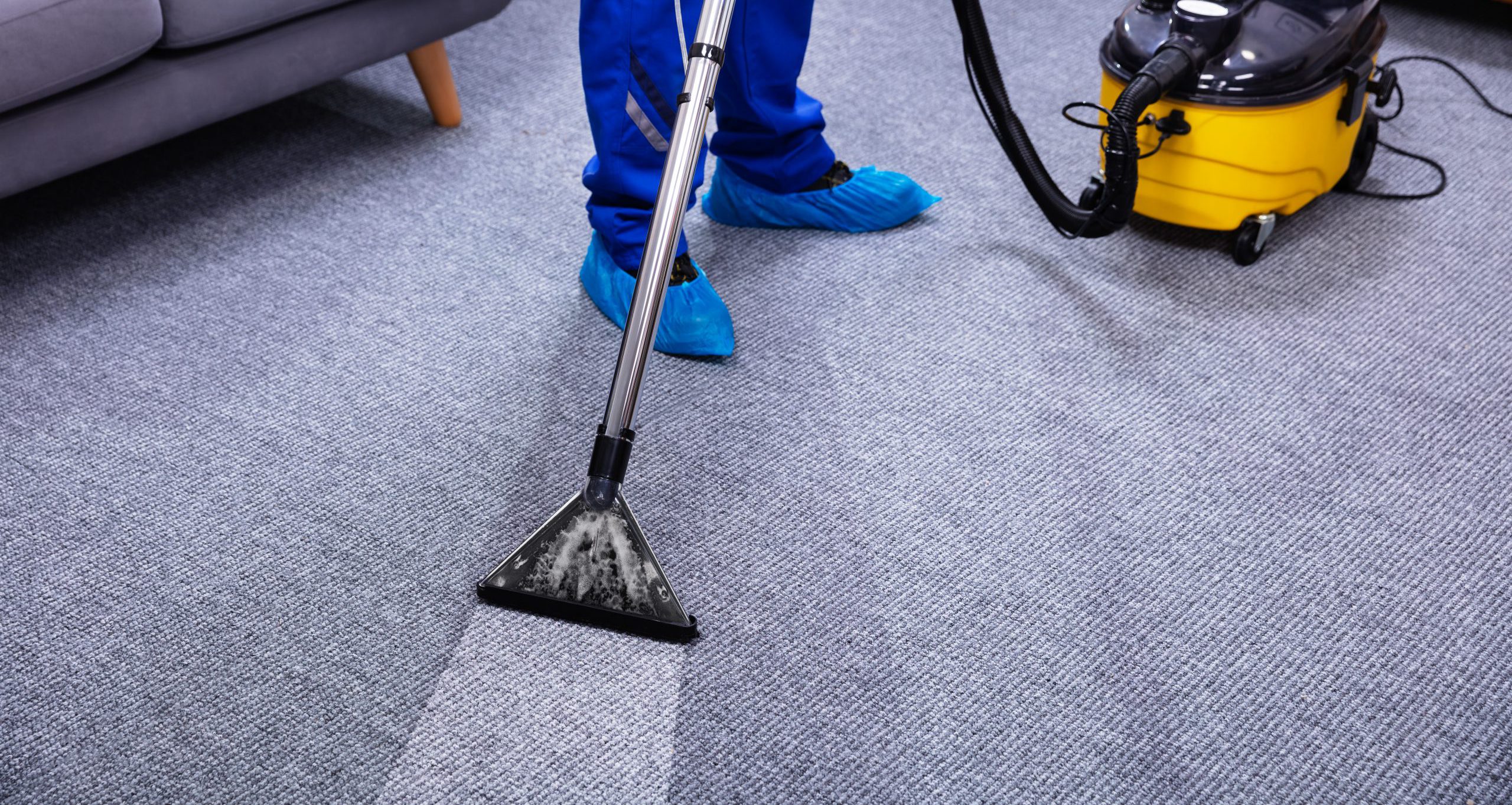 Person Doing Carpet Cleaning